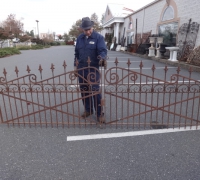 285-antique-iron-gate-and-fence